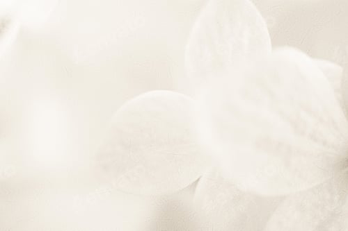 Preview: Classic Color Hydrangeas In Soft And Blur Style On Mulberry Paper Texture For Background