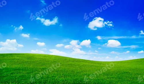 Preview: Green Field and blue sky