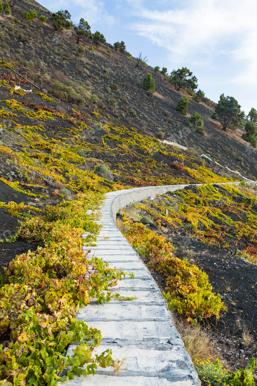 Preview: Southwest La Palma Water Canal, Spain
