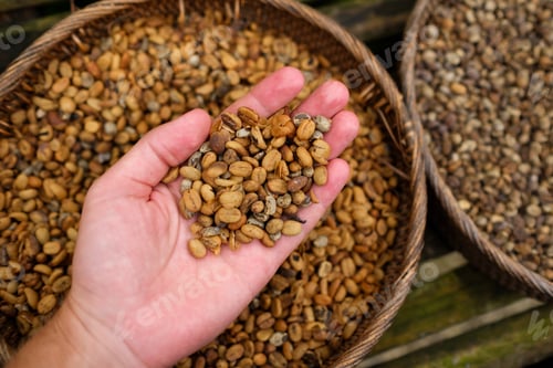 Preview: Background of coffee luwak beans