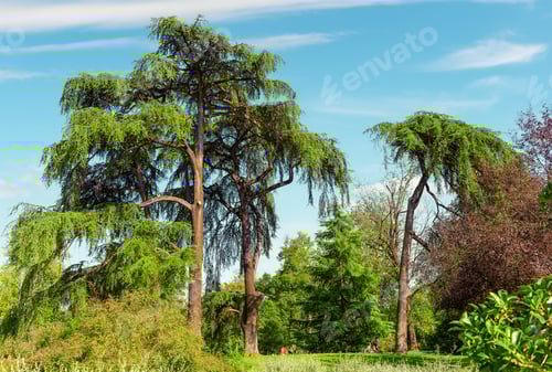 Preview: City park in Milan