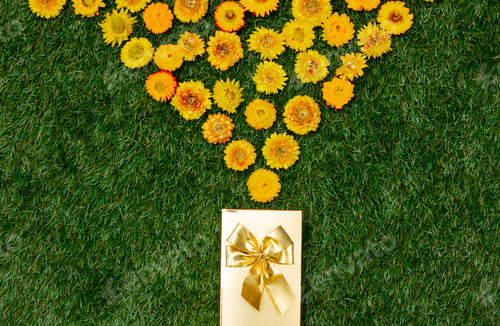 Preview: Yellow dandelions and gift box on green grass