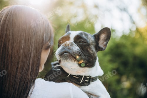 Preview: girl kissing french bulldog. portrait of happy girl with her dog
