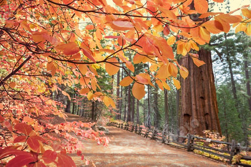 Preview: Autumn season
