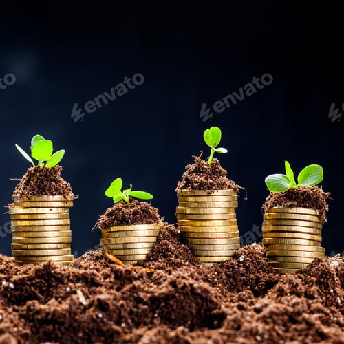 Preview: Golden coins in soil with young plant. Money growth concept.
