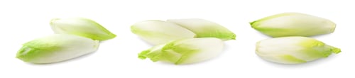 Preview: Fresh leaf chicory isolated on white, set
