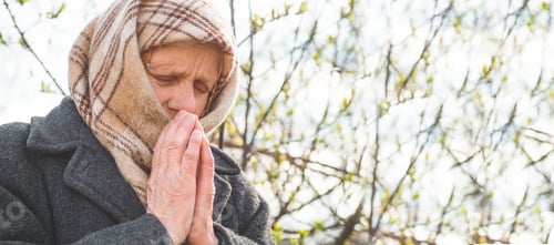 Preview: Grandmother pray