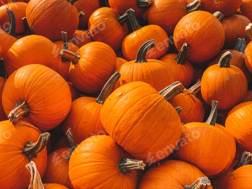 Preview: Pumpkins