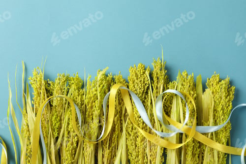 Preview: Help Ukraine concept with dried flowers and ribbons on blue background