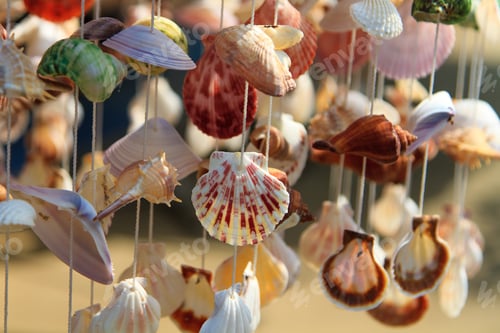 Preview: Sea shell curtain