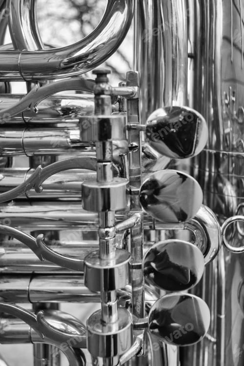 Preview: Grayscale shot of tuba brass instrument