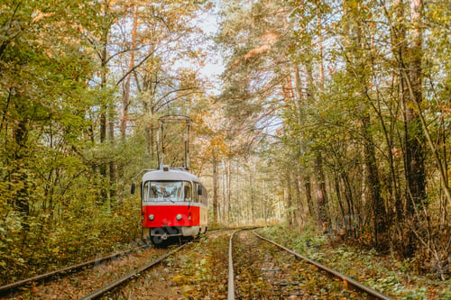 Preview: Vintage tram navigating through a serene forest in autumn