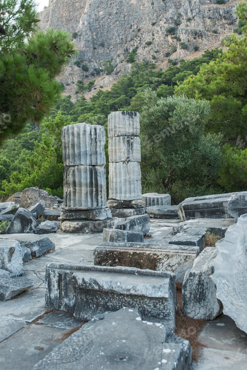 Preview: Columns of Priene