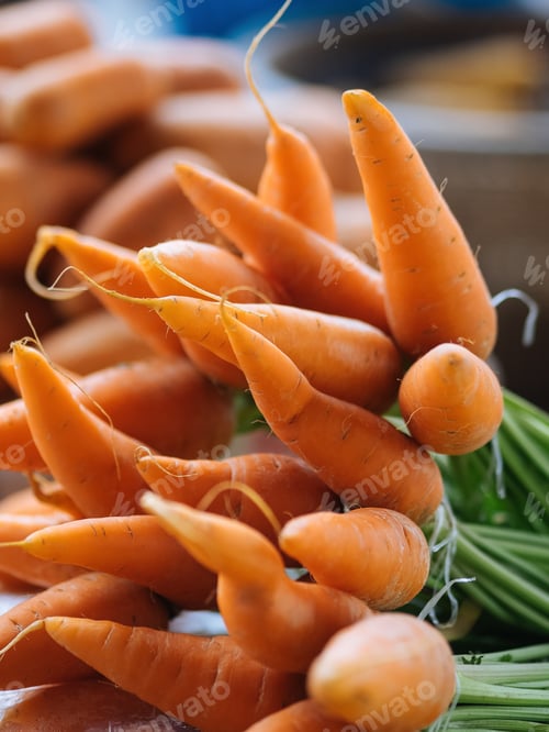 Preview: view of group of carrots