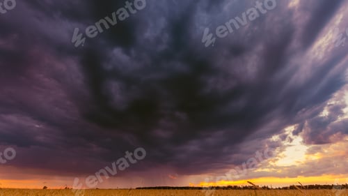 Preview: Summer Rainy Sunset Evening Above Wheat Field Landscape. Scenic Dramatic Sky With Rain Clouds
