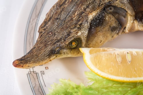 Preview: Head of baked sturgeon.