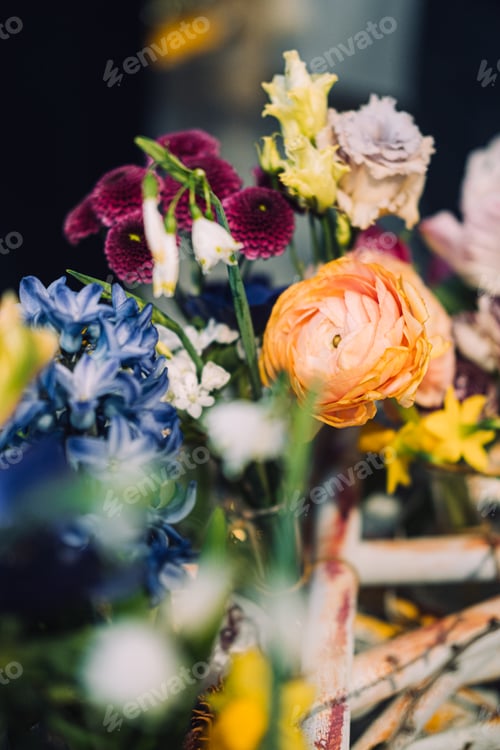 Preview: Vibrant Mix of Spring Flowers in Full Bloom