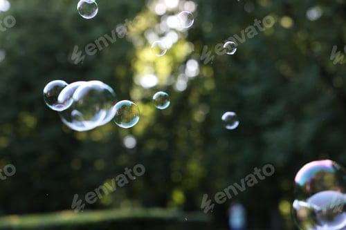 Preview: Beautiful transparent soap bubbles floating in park