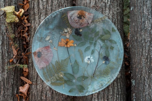 Preview: Eco craft plate with natural plants and flowers