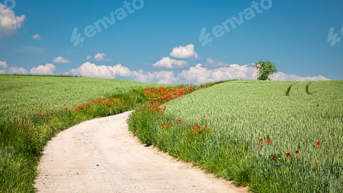 Preview: Rural country road and green field, in Poland, aerial view