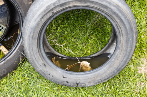 Preview: Abandoned tyre outdoor with still water from rain condusive place for aedes mosquito breeding