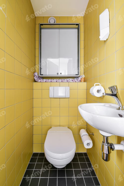 Preview: Modern toilet interior