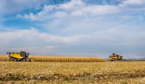 Preview: panoramic of a corn field where harvesters are working, beautiful sky