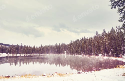Preview: Early winter