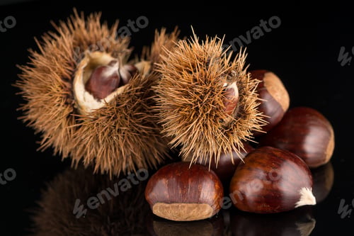 Preview: Chestnuts on a black reflective background