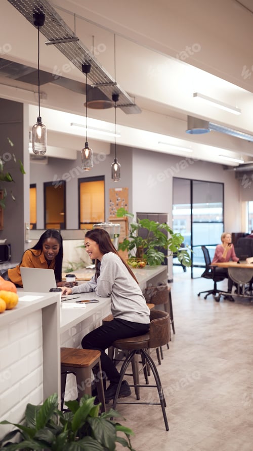 Preview: Two Young Businesswomen Working On Laptop In Kitchen Area Of Modern Office
