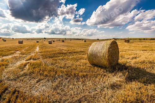 Preview: Beautiful sheaf of hay at sunny day