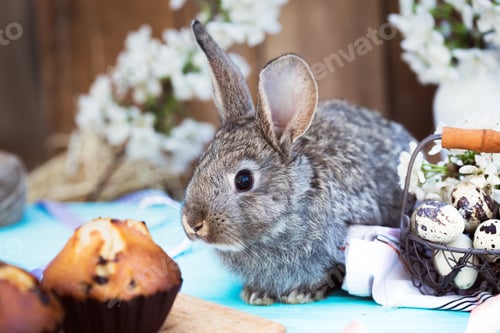 Preview: the happy easter