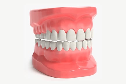 Preview: Detailed Anatomical Teeth Set
