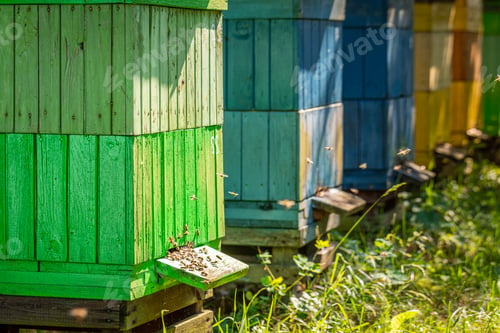 Preview: Wooden beehives in summer sunny day, Poland