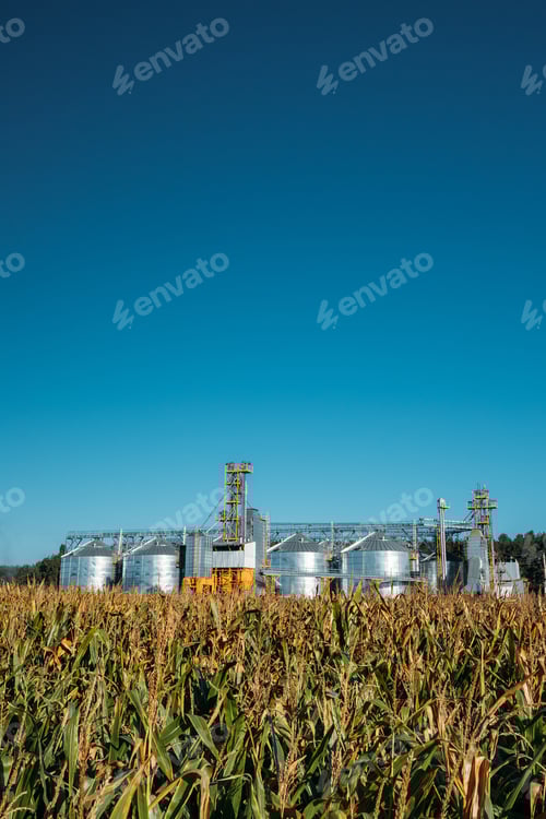 Preview: Modern Granary, Grain-drying Complex, Commercial Grain Or Seed S