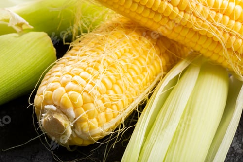 Preview: corn on the cob on the table, sweet corn