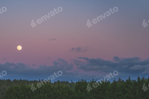 Preview: Beautiful moon above the green trees in the pink and purple sky