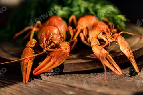 Preview: Boiled crayfish on rustic wooden background close
