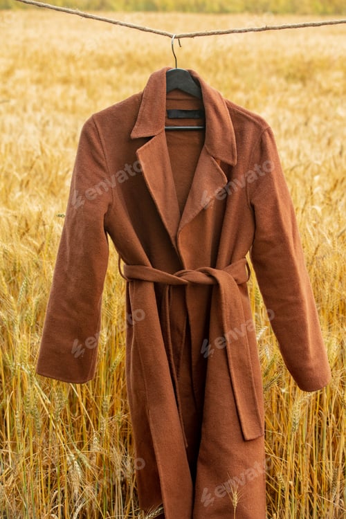 Preview: Brown coat on rope in yellow wheat field