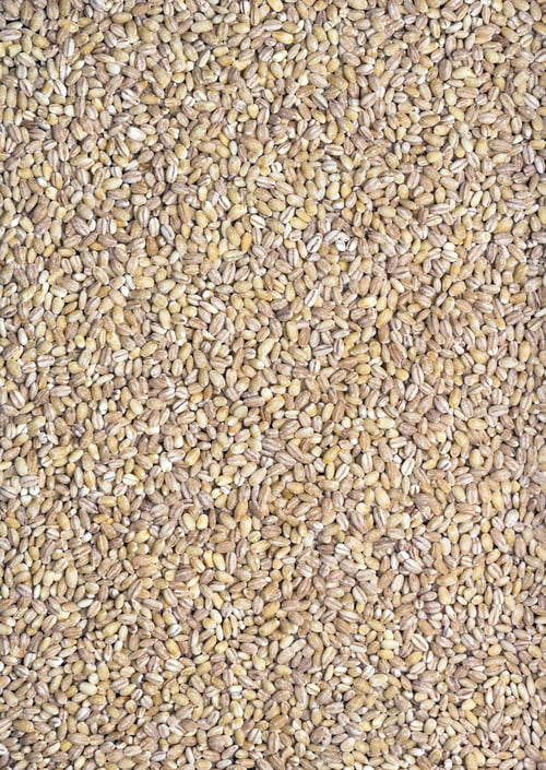 Preview: Pearl barley seeds