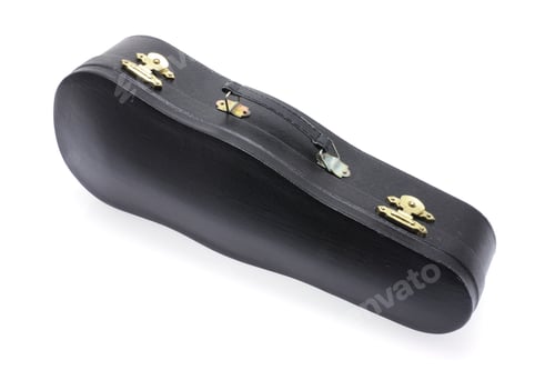 Preview: Violin Case