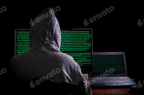 Preview: Women hacker breaks into government data servers