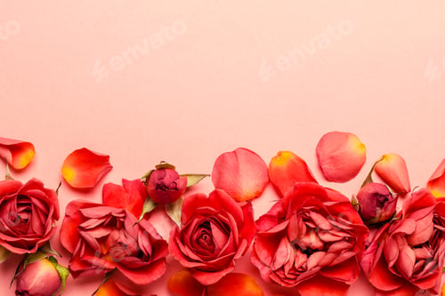 Preview: Living coral floral background made of rosebuds and petals