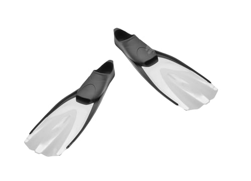 Preview: Flippers