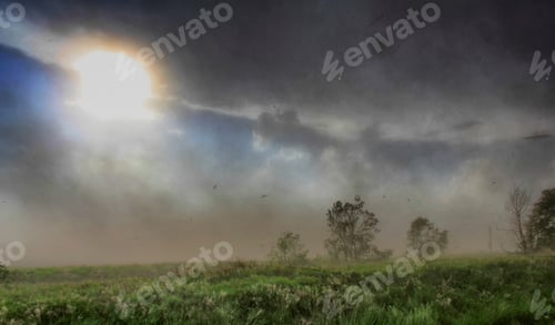 Preview: Misty field at sunrise with clouds partially obscuring the sun.