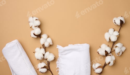 Preview: Folded white cotton terry towel and sprigs of cotton flower on a light brown background, top view