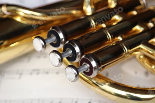 Preview: Close up of valves of a brass horn