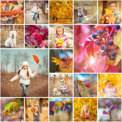 Preview: autumn theme