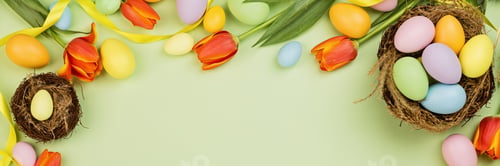 Preview: Stylish background with colorful easter eggs pastel colors isolated on green background. Horizontal