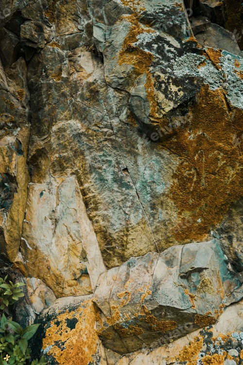 Preview: Backdrop with stone texture with orange lichen